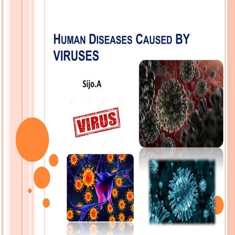 Human Diseases Caused By Viruses 3 Things To Know About XEC, The