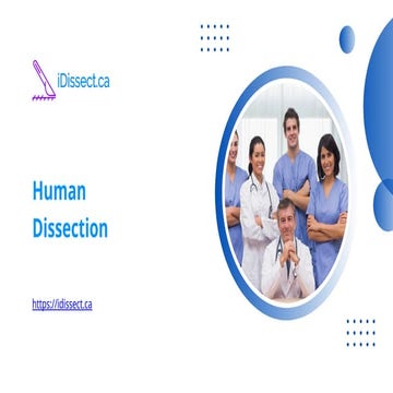 Comprehensive Human Anatomy Dissection for Medical Education and ...