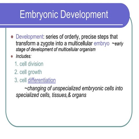 human embrionical development-1.ppt
