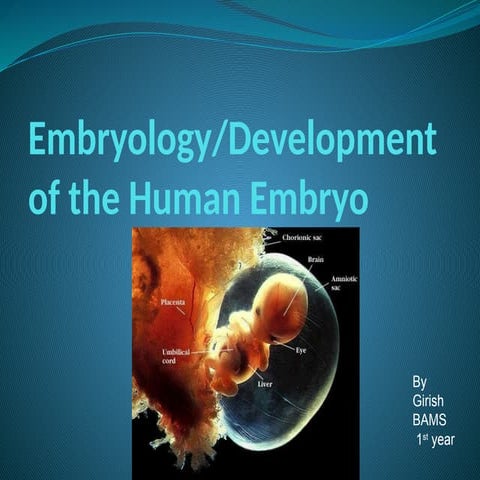 Human Embryology.pptxbbhgccdsevcxcdsddgj