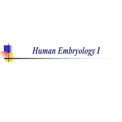 Human Embryology I