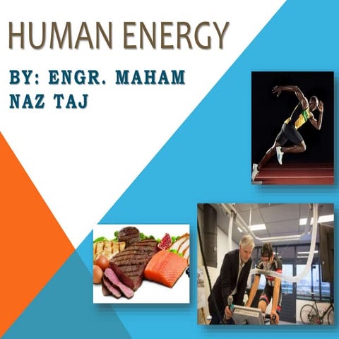 Human Energy 