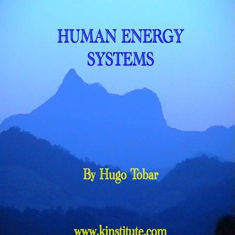Human Energy System