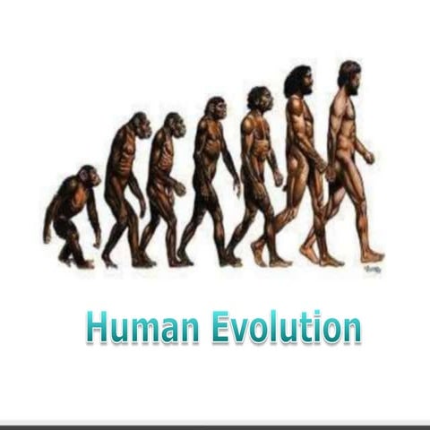 Human Evolution102 online notes.pptx