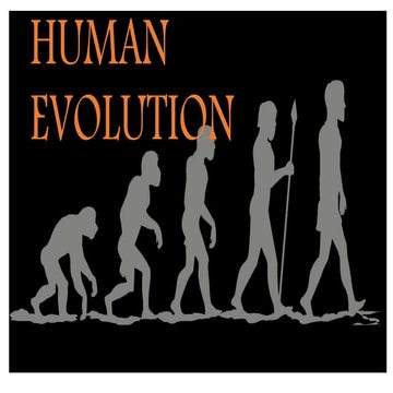 Human evolution