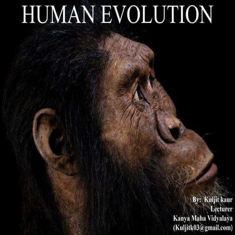 Human evolution