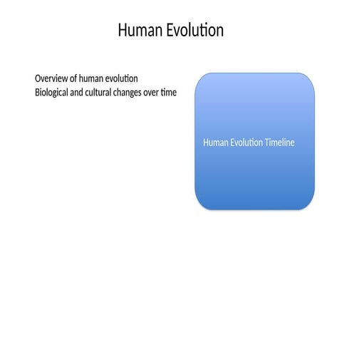 Human_Evolution_and_Stone_Tools_FIXED.pptx