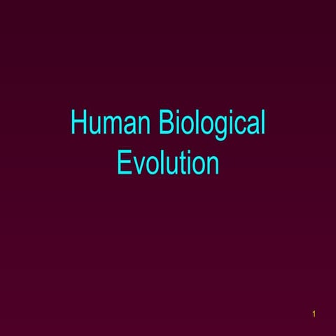 Human evolution notes