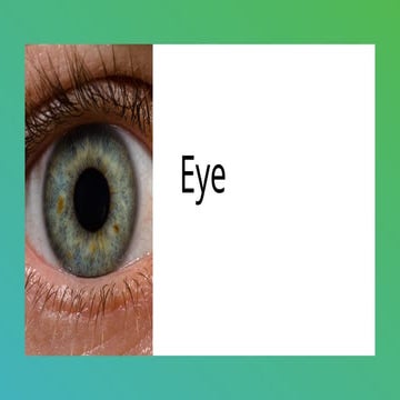human eye_sensation_psychology_physiology.pptx