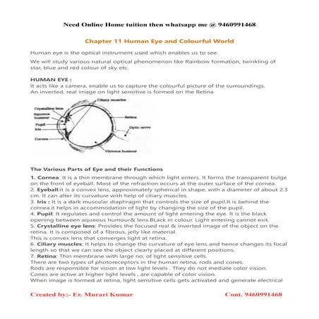 Human Eye and Colorful World. Chapter 11 grade 10th