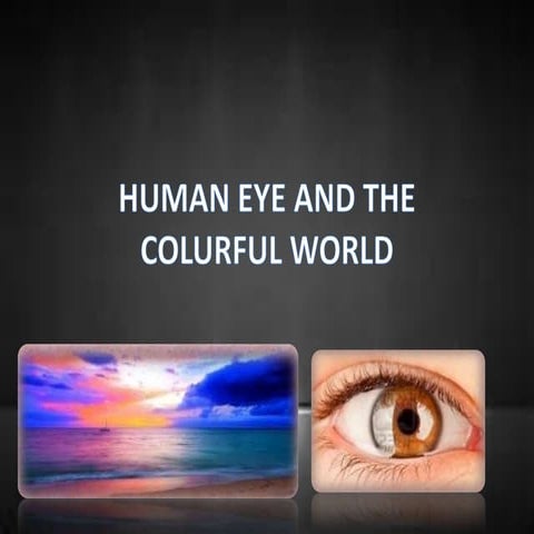 Human eye and the colourful world