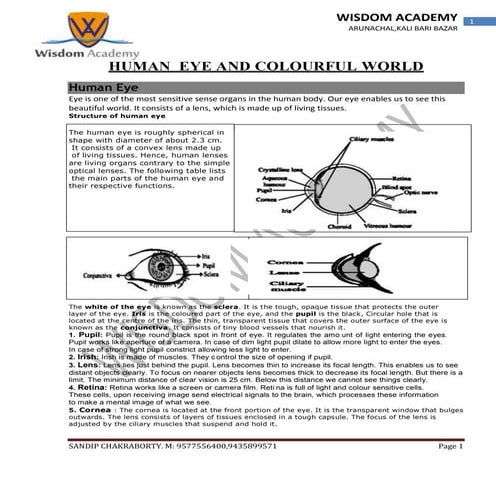 Human eye class 10