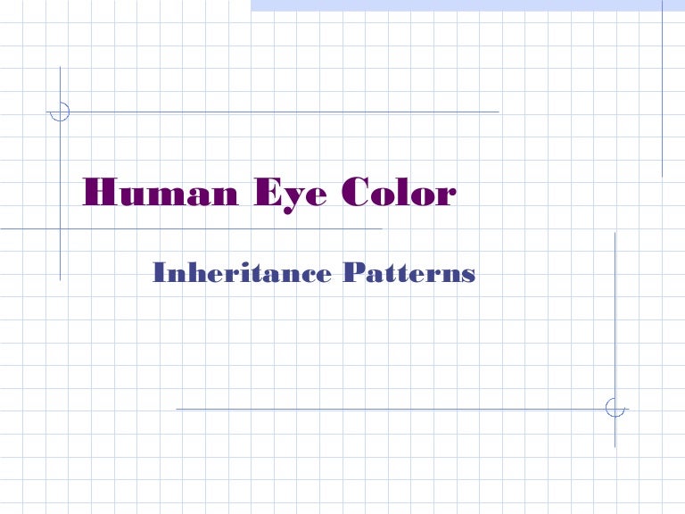 Human eye color inheritance, Mr. Wright