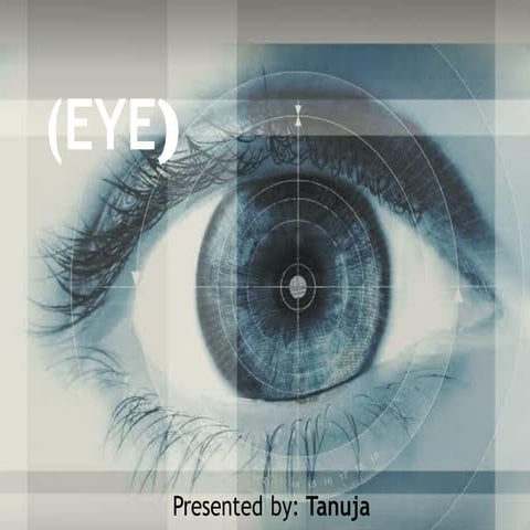 Human Eye Presentation.pdf