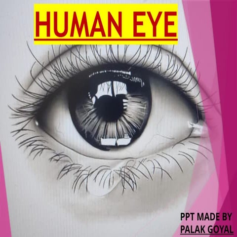 HUMAN_EYE_PRESENTATION_yaaaaaaaaaaaaaaaaaaaaaaaaaaaaaaaaaaaaaaaaaayyyyyyyyyyy...