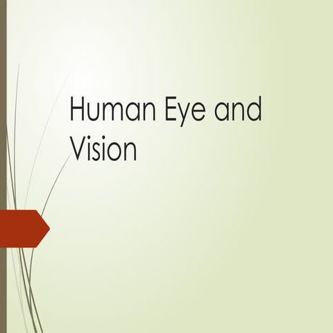 Human_Eye_Vision_Presentation grade 8 .pptx