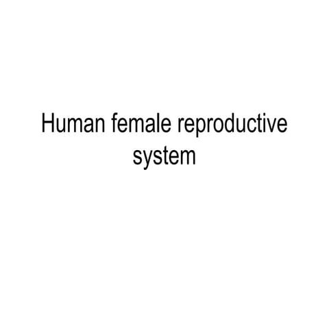 Human female reproductive system
