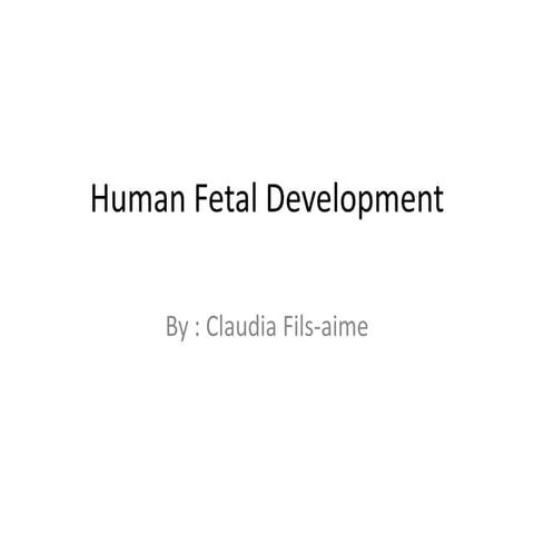 Human fetal development