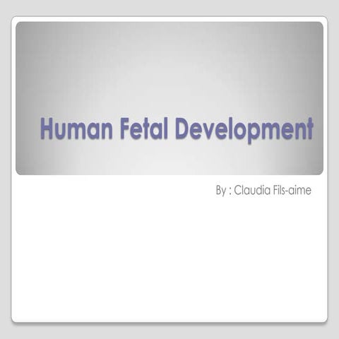 Human Fetal Development