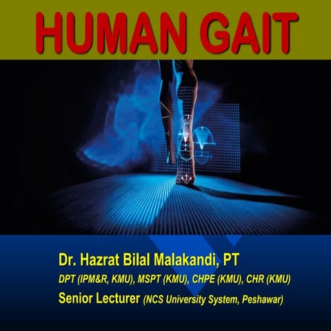 Human Gait