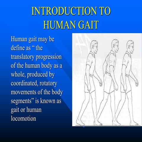 HUMAN GAIT.pptx............................