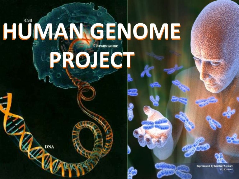 Human genome project home Human genome project home