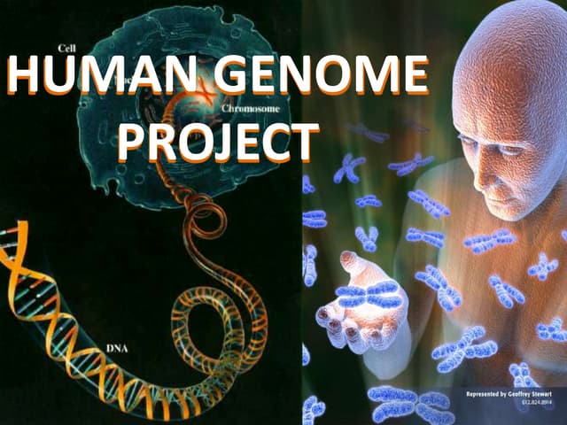 Human genome project