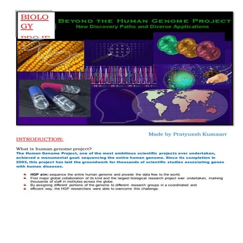 Human Genome Project