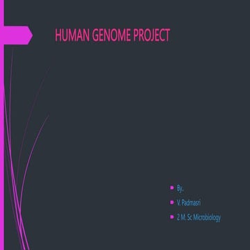 human genome project_094513.pptx