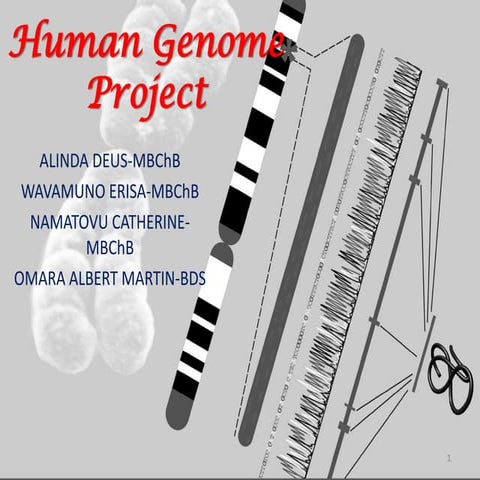 Human genome project | PPTX