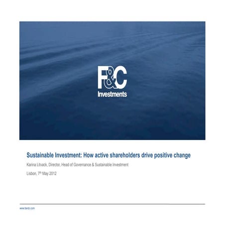 Green is the new black: The different shades of ethical investing | PDF