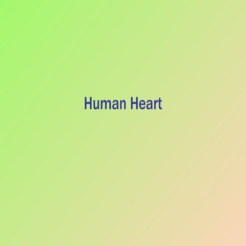 Human heart | PPT | Heart and Cardiovascular Diseases | Diseases and ...