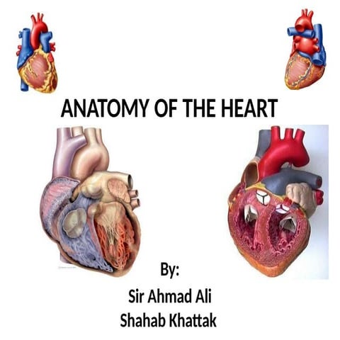 Chambers of heart | PPTX