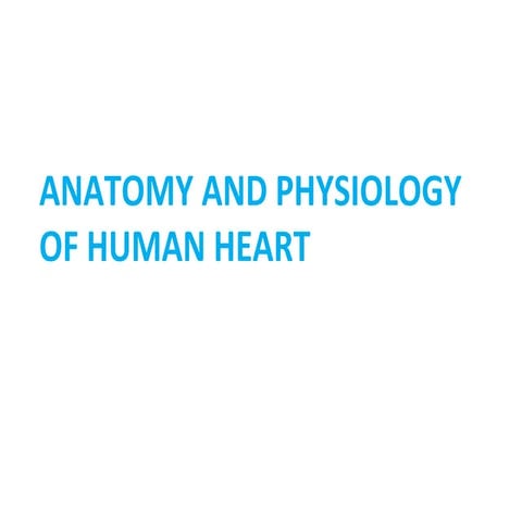 Anatomy And Physiology of Human Heart 