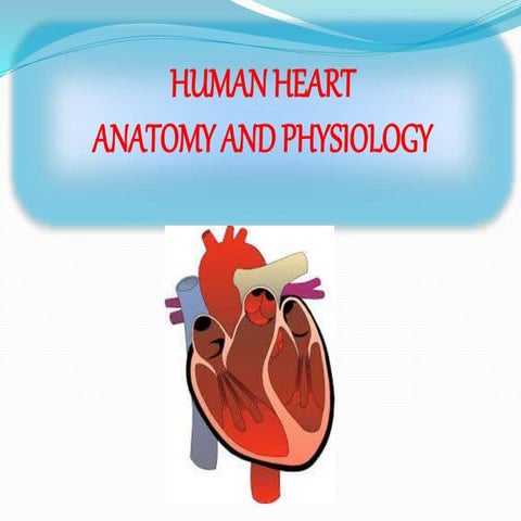 Human heart anatomy and physiology Part -1