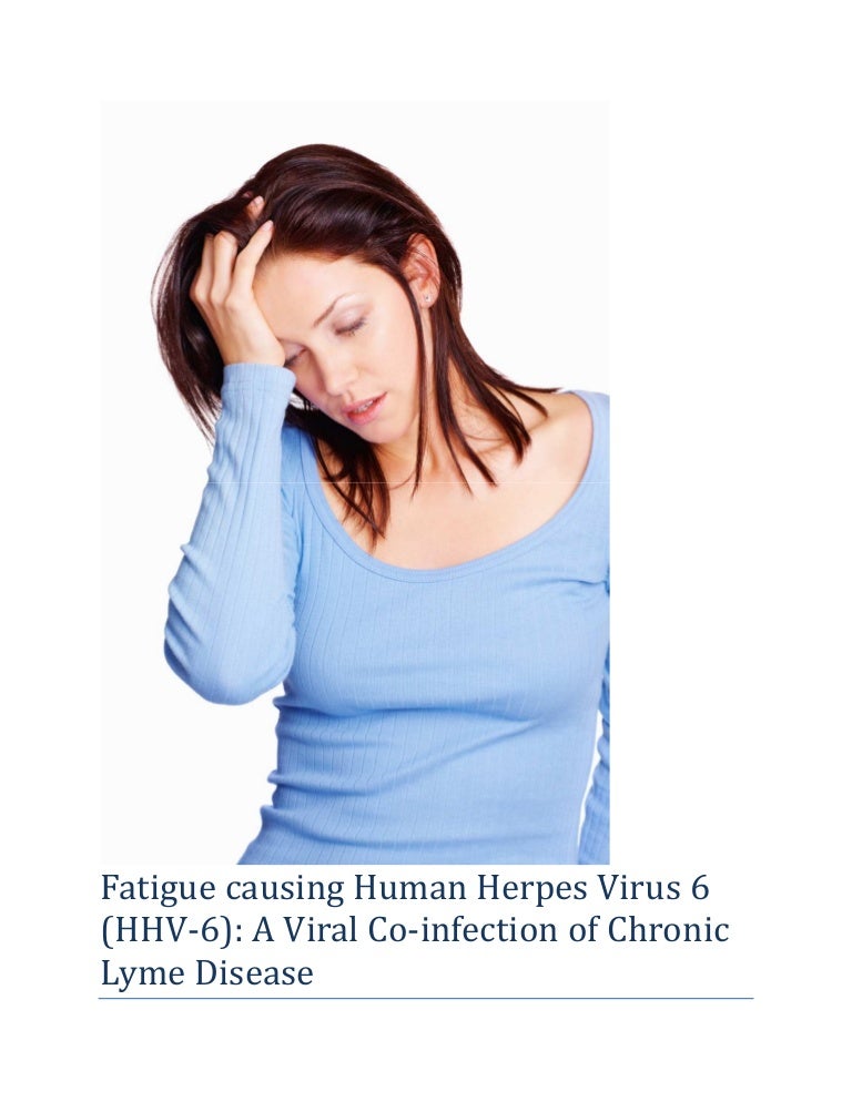 Human Herpes Virus 6 spin4