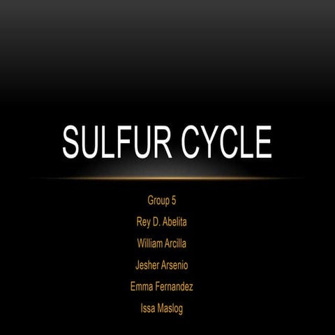 sulfur cycle