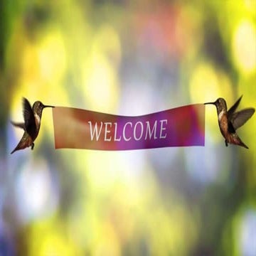 Humanistic perspective