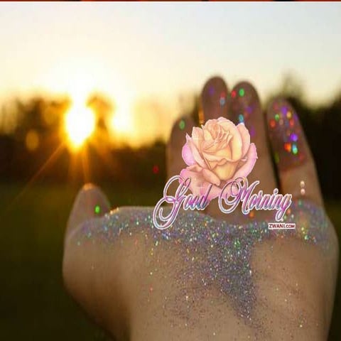 Organization of Visual Arts