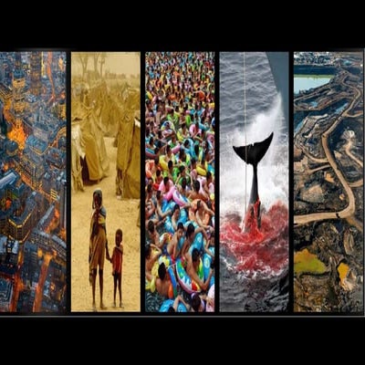 Humanity's Impact on Earth | PPSX