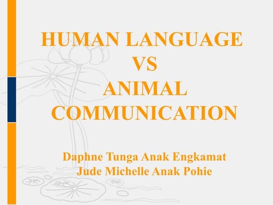 Language and communication | PPT