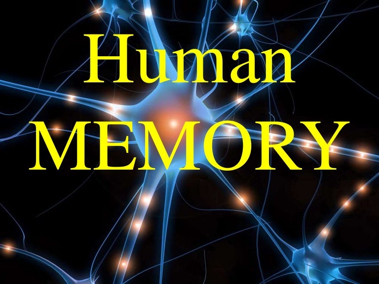 Human Memory