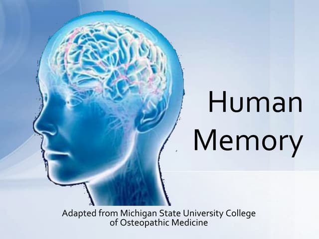 Human memory