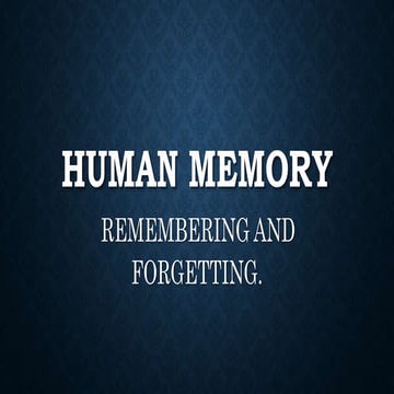 Human memory