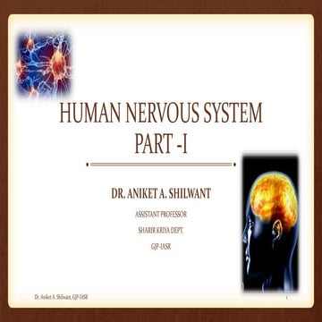 HUMAN NERVOUS SYSTEM PART 1