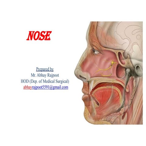 Nose Anatomy & Physiology