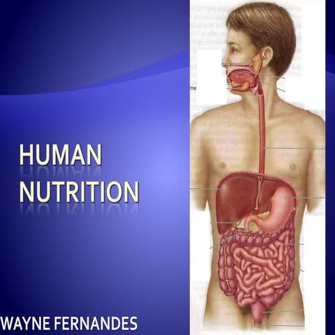 HUMAN NUTRITION