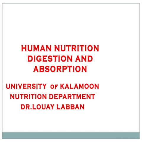 Human nutrition digestion