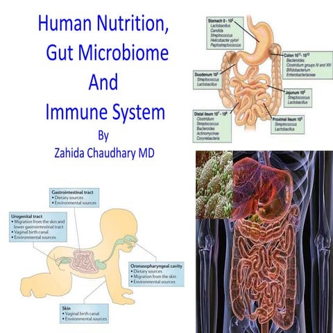 Human nutrition, gut microbiome and immune system 