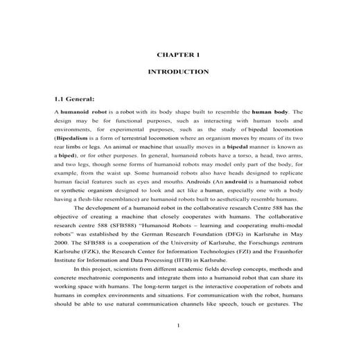 Humanoid project report